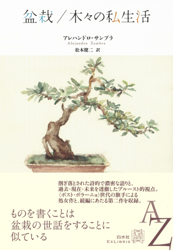 bonsai la vida privada
