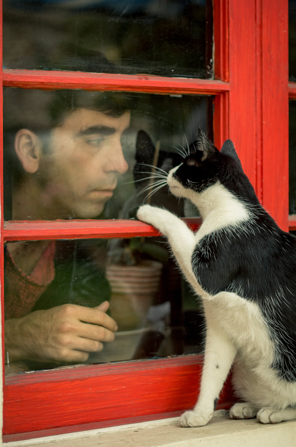 pedropiedra2
