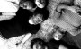 AtomsForPeace
